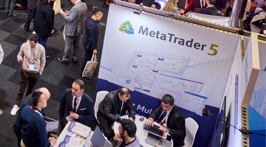 增城迟菜心，育苗啦！