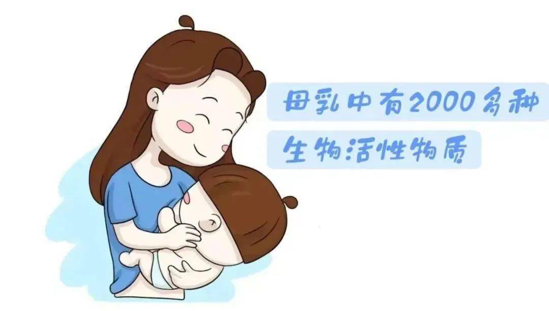 卧螺离心机设备入口漏水怎么处理（卧式螺旋离心机工作原理及用途）