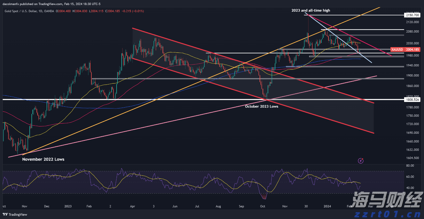 吴川：百岁老人过生日 大家都来沾“喜气”