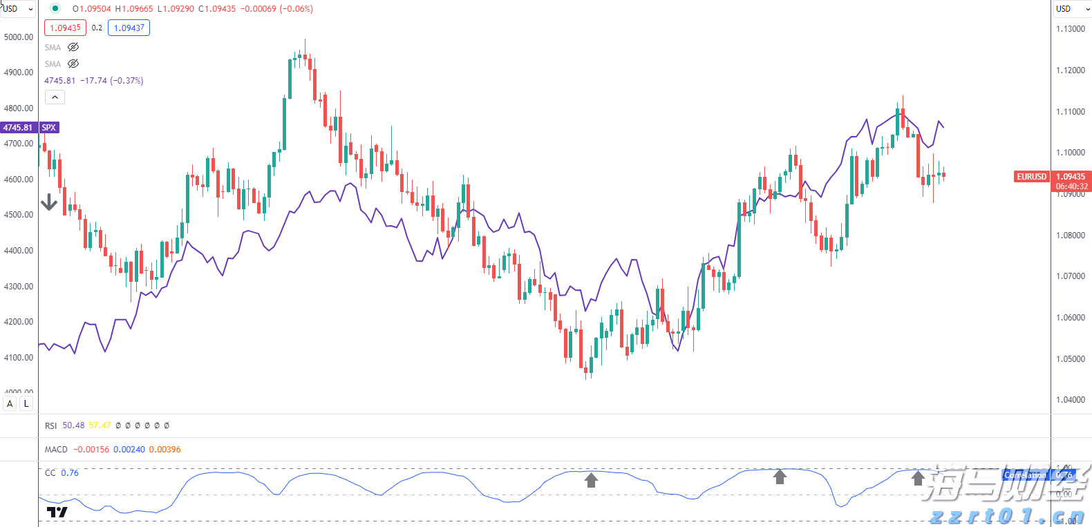 全区特殊教育学科中心组能力提升活动在我市举办