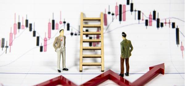 今天下午，湛江将开展全市爱国卫生运动统⼀行动