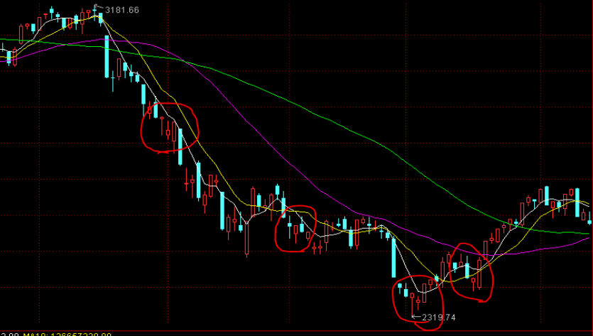 提早布防，井岸镇基孔肯雅热防控取得阶段性成效